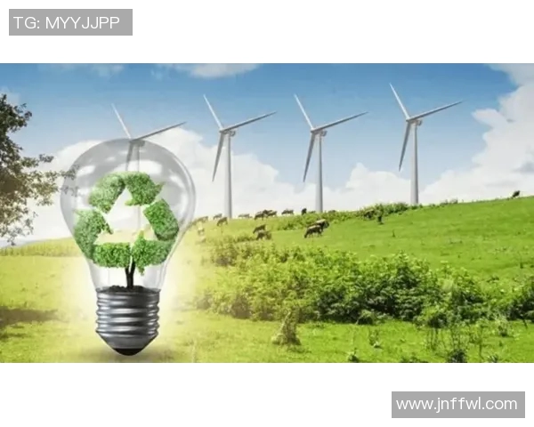 创新驱动绿色发展探索印刷包装行业可持续发展新路径与实践